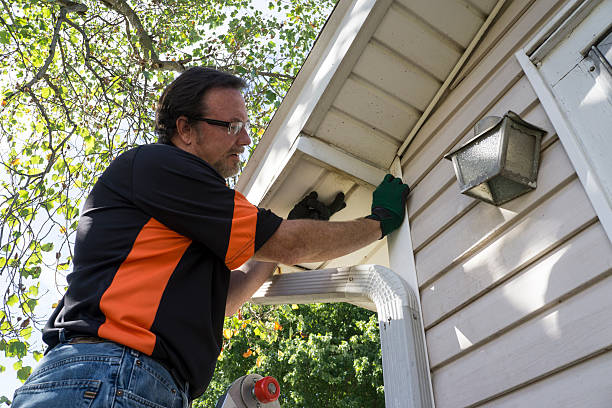 Best Siding Painting and Refinishing  in Bernardsville, NJ